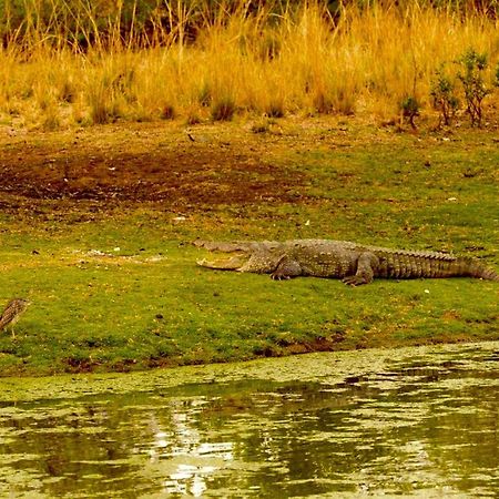 Aura Wildlife Camp And Resorts Marchula Εξωτερικό φωτογραφία